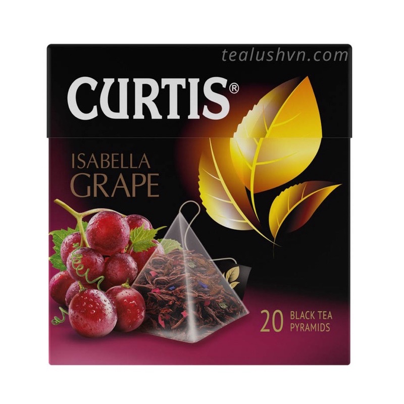 TRÀ CURTIS ISABELLA GRAPE/ FRENCH TRUFFLE/ STRAWBERRY MOJITO/ SUMMER BERRIS/ FRESH MOJITO/ SUNNY LEMON/ BLUEBERRIES BLUE