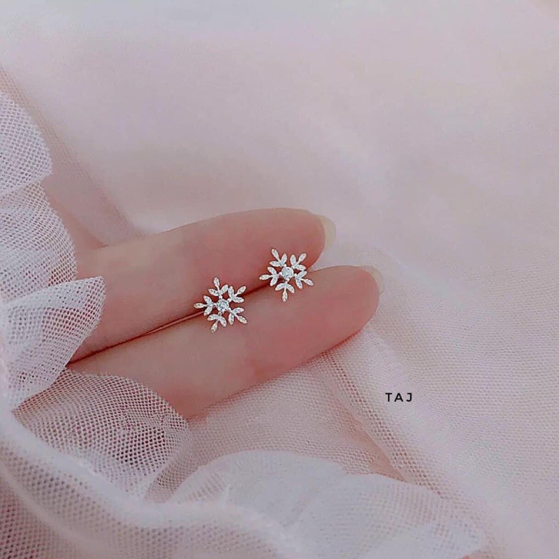 Bông tuyết bạc ta