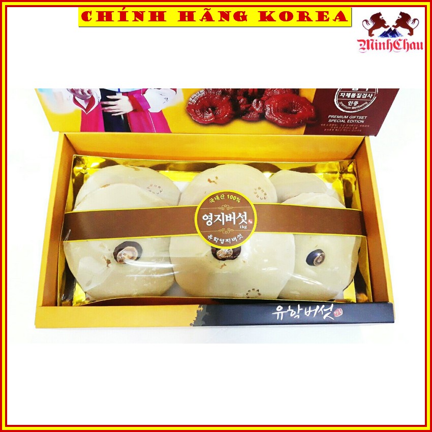 Nấm Linh Chi Hàn Quốc Chính Hãng, Nấm Hộp Quà 1kg, minhchau