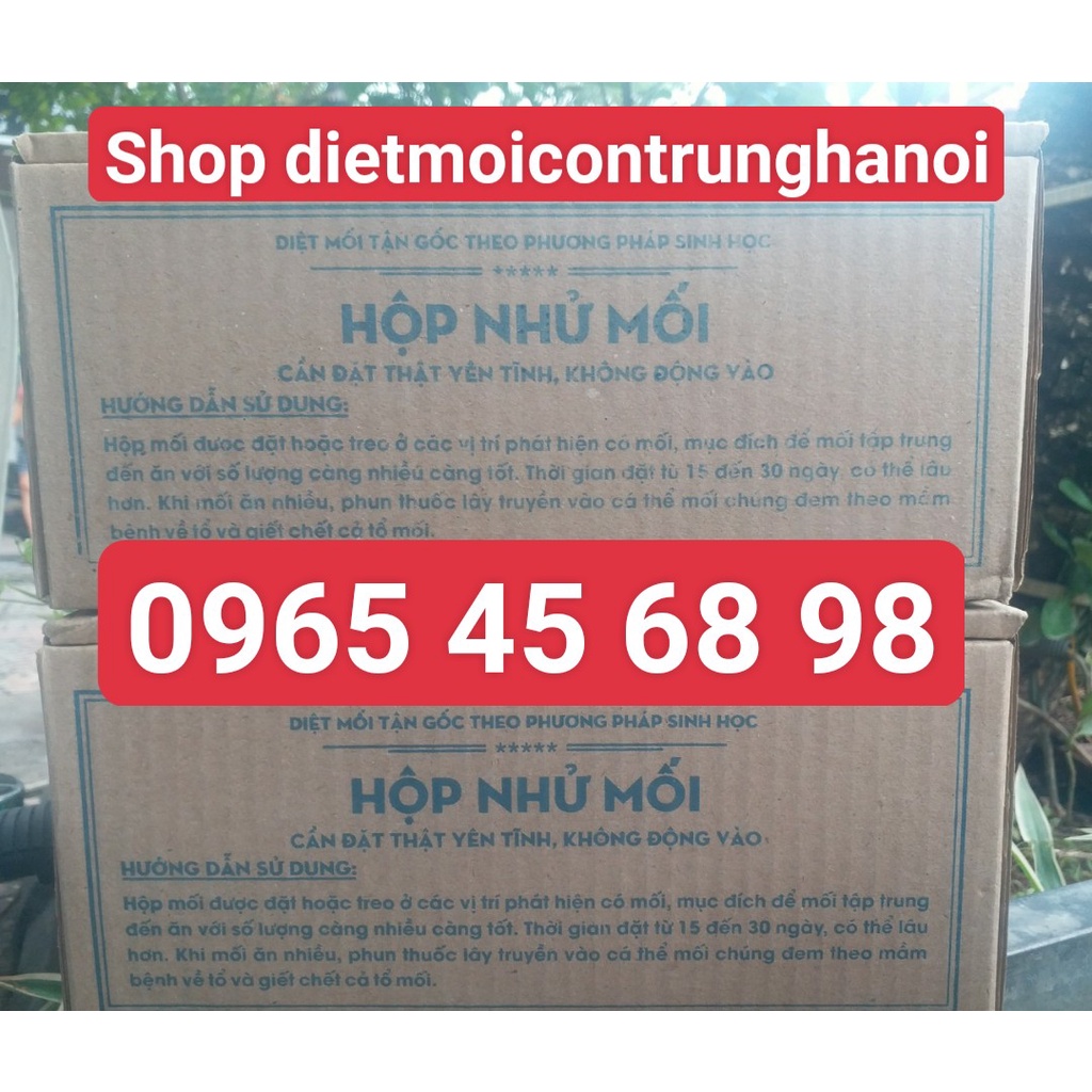 Hộp Nhử Mối Sinh Học  LOẠI HỘP TO