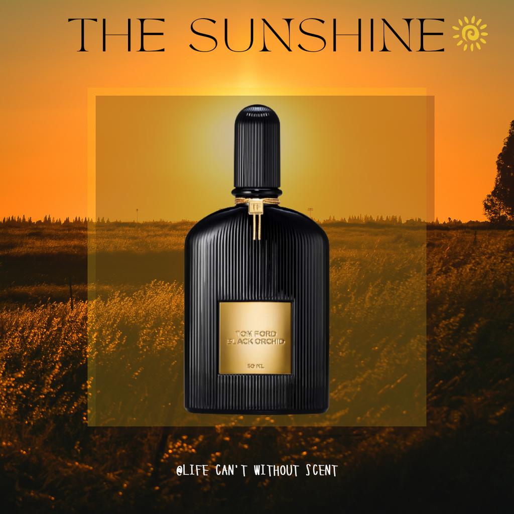 Nước hoa T.F Black Orchid 5ml/10ml/20ml [ 𝓣𝓱𝓮𝓢𝓾𝓷𝓢𝓱𝓲𝓷𝓮 ]