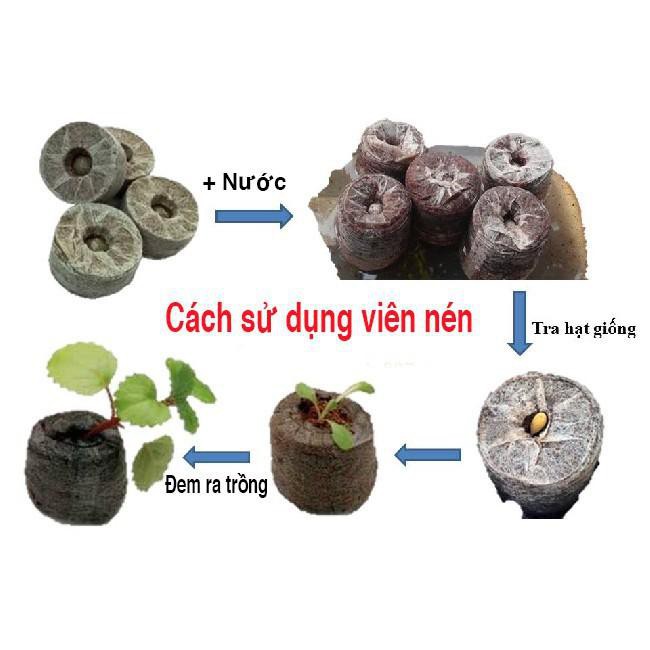 Viên nén Mùn dừa, viên nén mụn xơ dừa, Ươm Hạt Giống