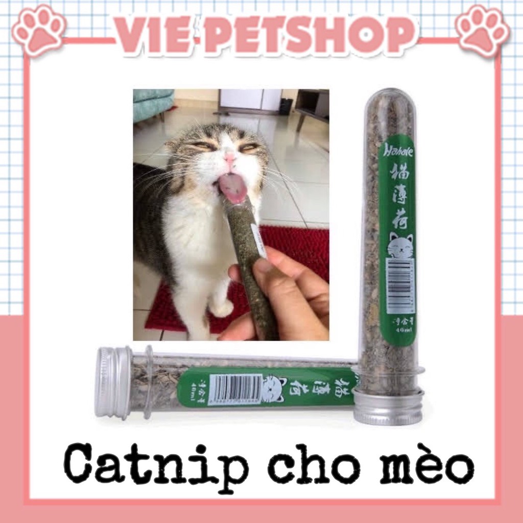 Ống Cỏ Mèo Bạc Hà Catnip 40ml | Vie PETSHOP