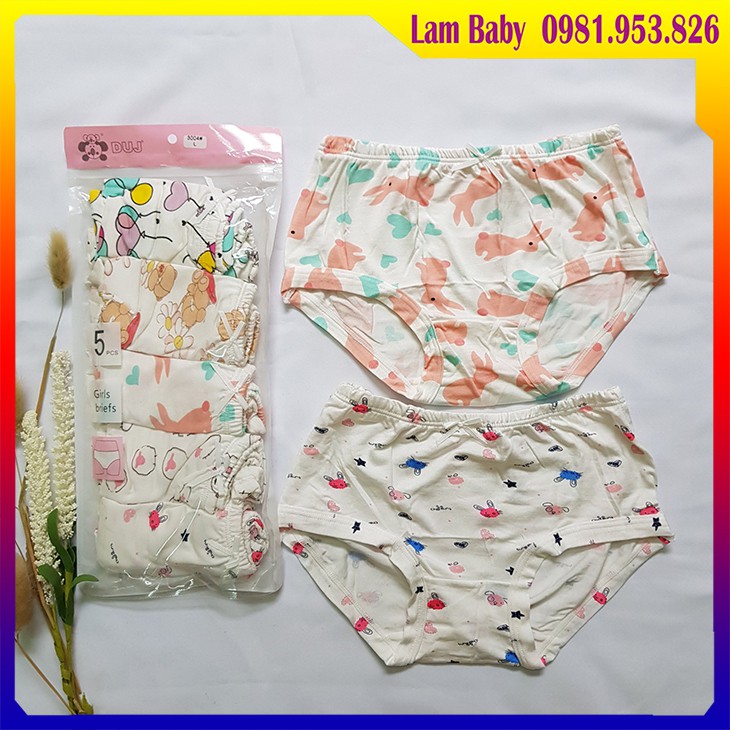 Set 5 Chiếc Quần Lót Đùi, Quần Tam Giác Cotton Cho Bé Gái - Hàng Siêu Đẹp