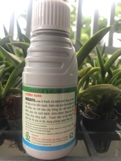 Đặc trị nấm - HEXAVIL