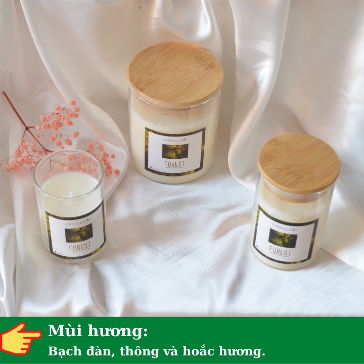 Nến Thơm không khói AGAYA Candle Cup - Mùi FOREST