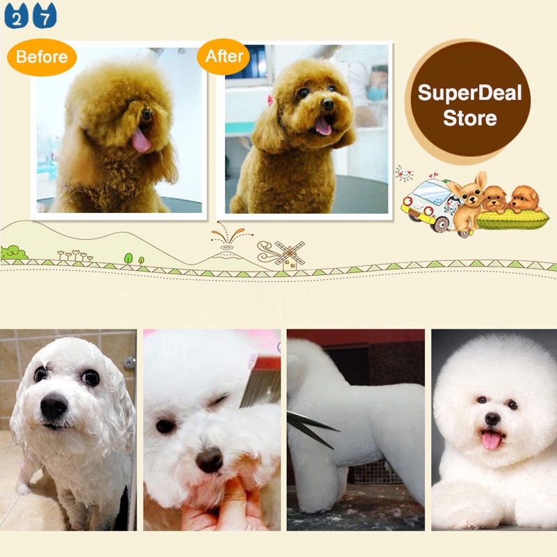 Bộ Dụng Cụ Cắt Tỉa Lông 27 Chạy Pin Chuyên Dụng Cho Thú Cưng Có Thể Sạc Lại Bằng Cổng USB
