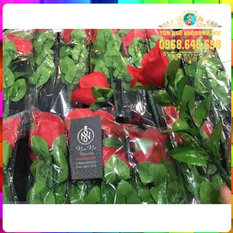 ẢO THUẬT HOA HỒNG HỒI SINH HÀNG CÓ SẴN