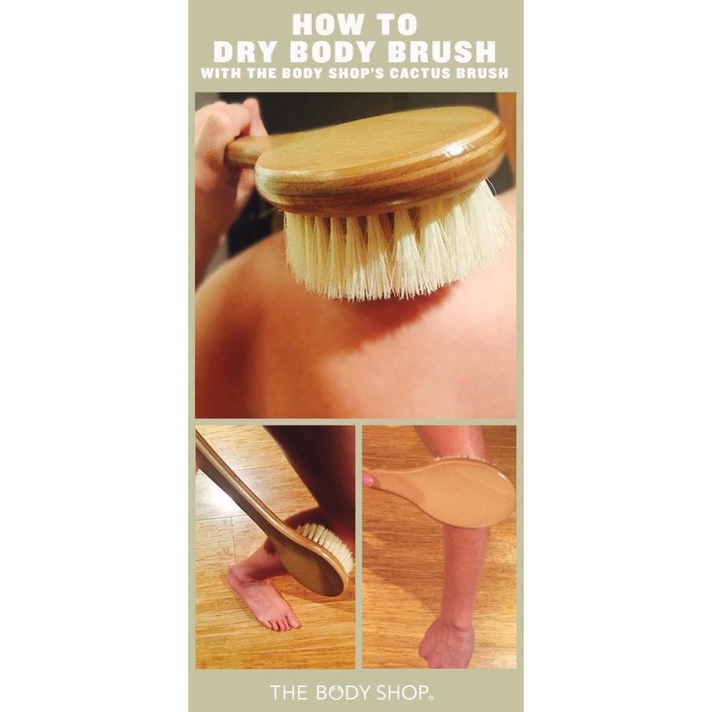 Bàn chải khô tẩy da chết the body shop cactus brush