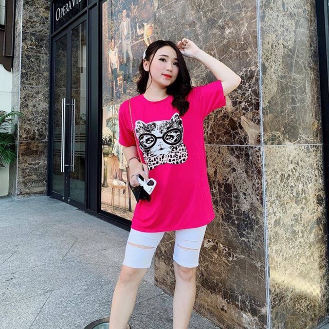 Sét áo mèo quần legging