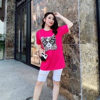 Sét áo mèo quần legging