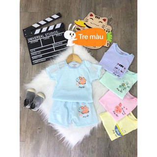 Combo 5 bộ cotton giấy cho bé