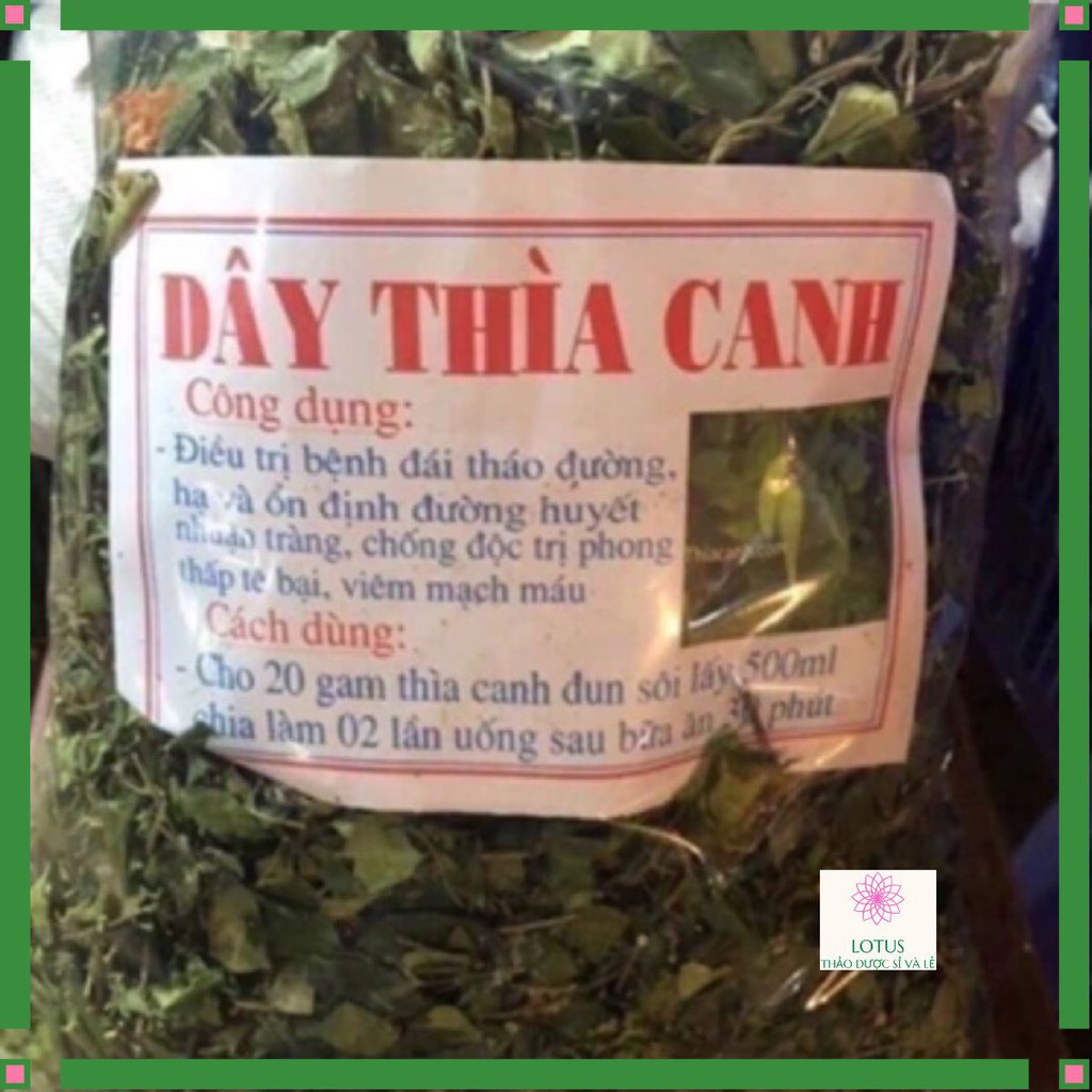 Dược liệu 1 kg cây thìa canh Hoà Bình