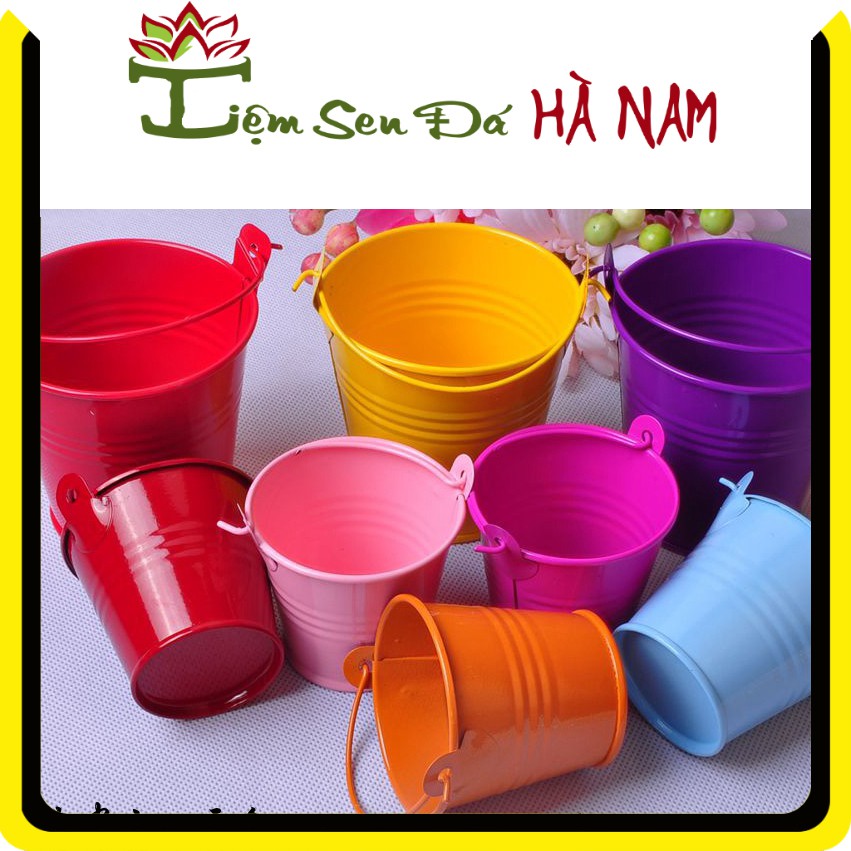 Chậu Trồng Sen Đá, Xương Rồng, Cây Cảnh 🌵 FREESHIP🌵 Hình Xô Đựng Nước, Siêu Đẹp, Dễ Thương, Giá Rẻ.