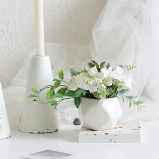Chậu sứ trắng hoa phối