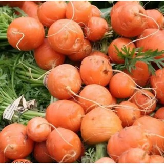 Hạt Giống Cà Rốt Tròn F1