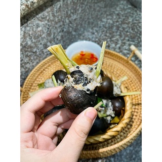 Ốc nhồi thịt đóng khay [ Hỏa tốc hà nội ] [ Hana Food ]