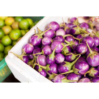 HẠT GIỐNG CÀ PHÁO TÍM