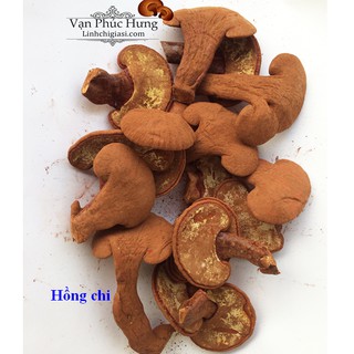 500gr Nấm linh chi thái lát - Vanphuchung