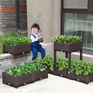 chậu trồng cây lắp ghép