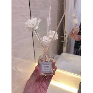 Tinh dầu để phòng khách, phòng tắm, phòng ngủ khử mùi, cho hương thơm dịu nhẹ