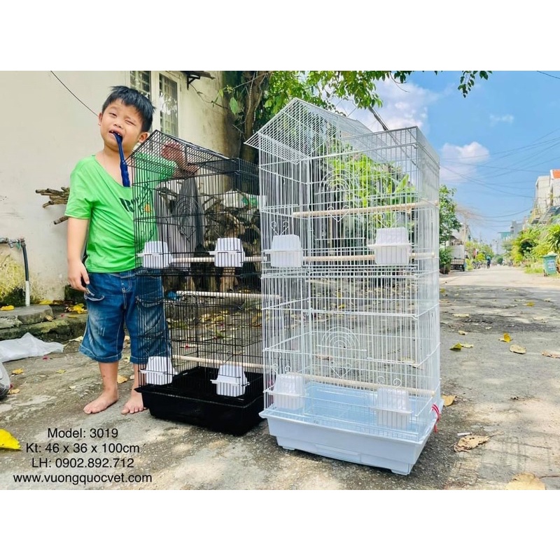 lồng nuôi vẹt 3019