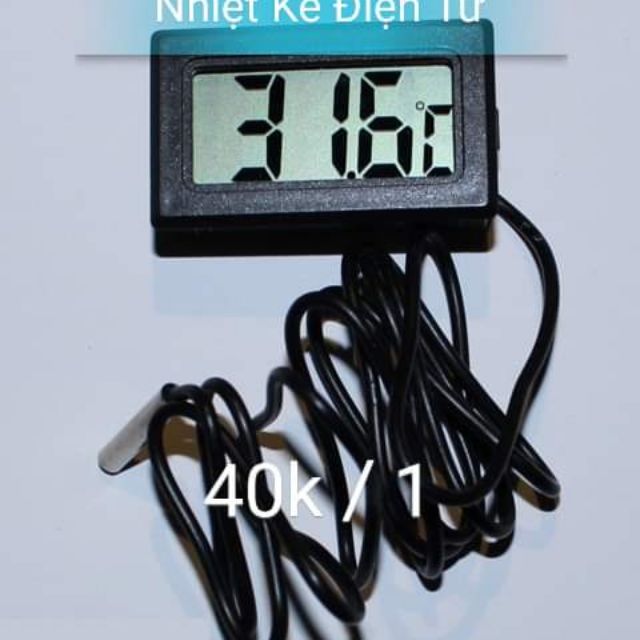 Nhiệt kế điện tử cho cá cảnh