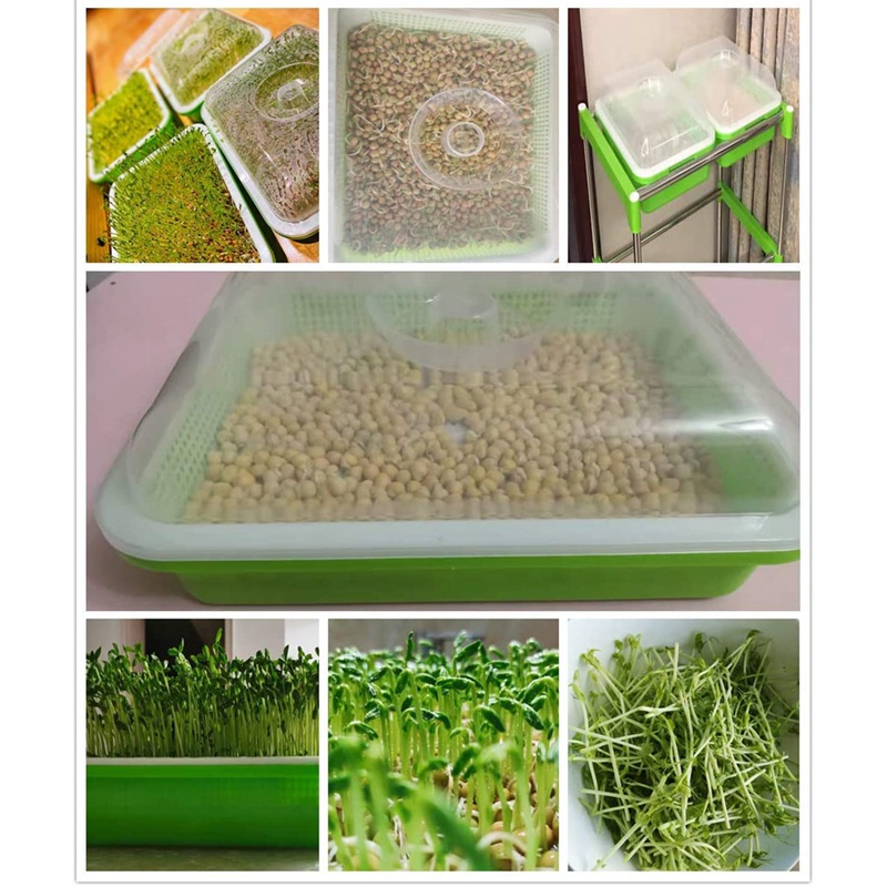 Set 3 Khay Trồng Cây Mầm Không Cần Đất Sức Chứa Lớn Có Nắp Đậy