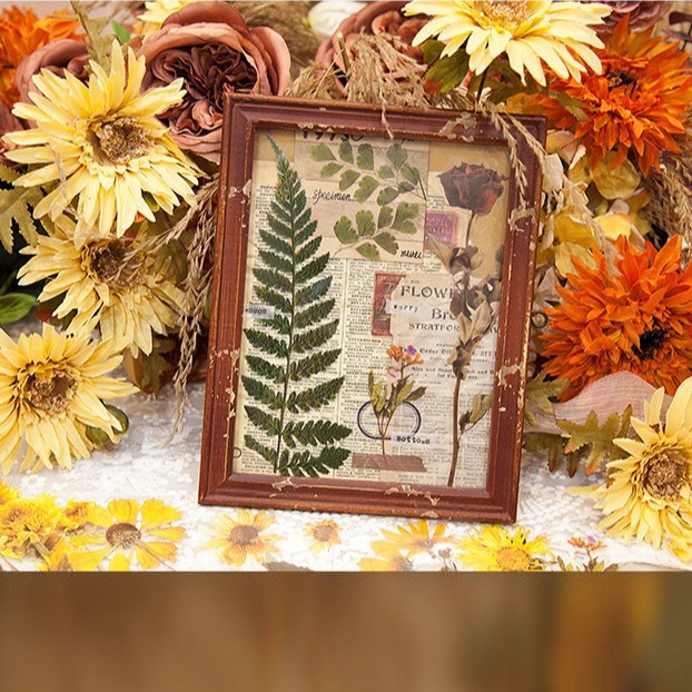 STICKER Hoa, Lá Ép Khô Trang Trí Set 6 tấm 10x20cm