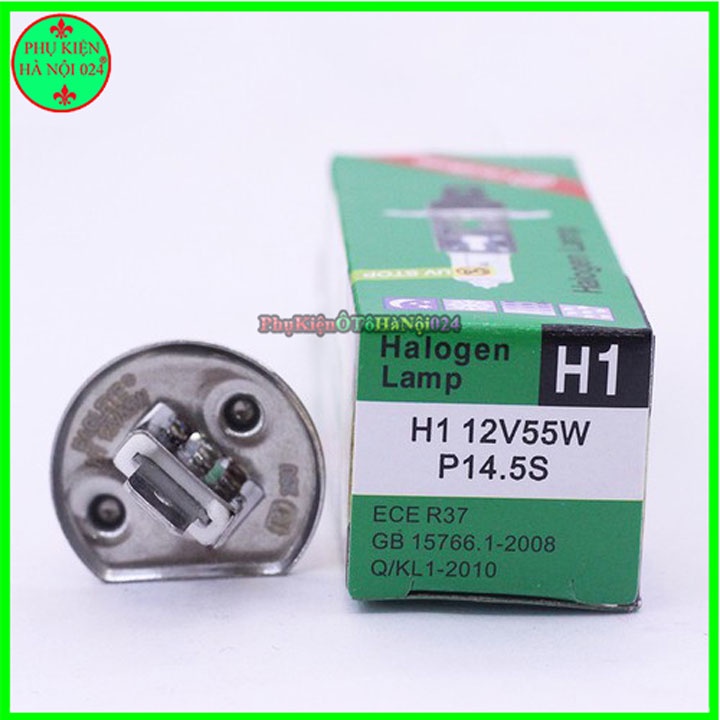 Bóng đèn Halogen Con Cú H1 Hai Loại 12V/ 24V