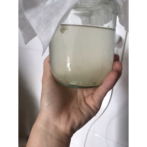 Kefir dừa/kefir nước dừa