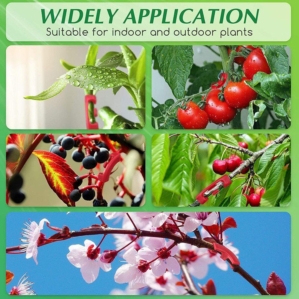 Bộ 15 Dụng Cụ Trồng Cây Uốn Cong 90 Độ Bằng Nhựa Giúp Phát Triển Cây Tăng Trưởng Giảm Căng Thẳng Thấp