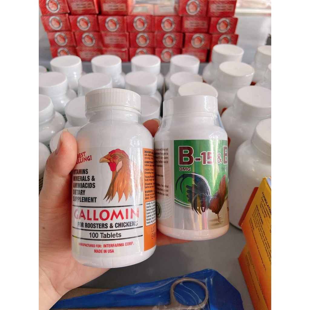Combo Gallomin + B15&B12 – Hủ 100 viên tăng bo, tăng cơ, tăng nước máu cho gà đá