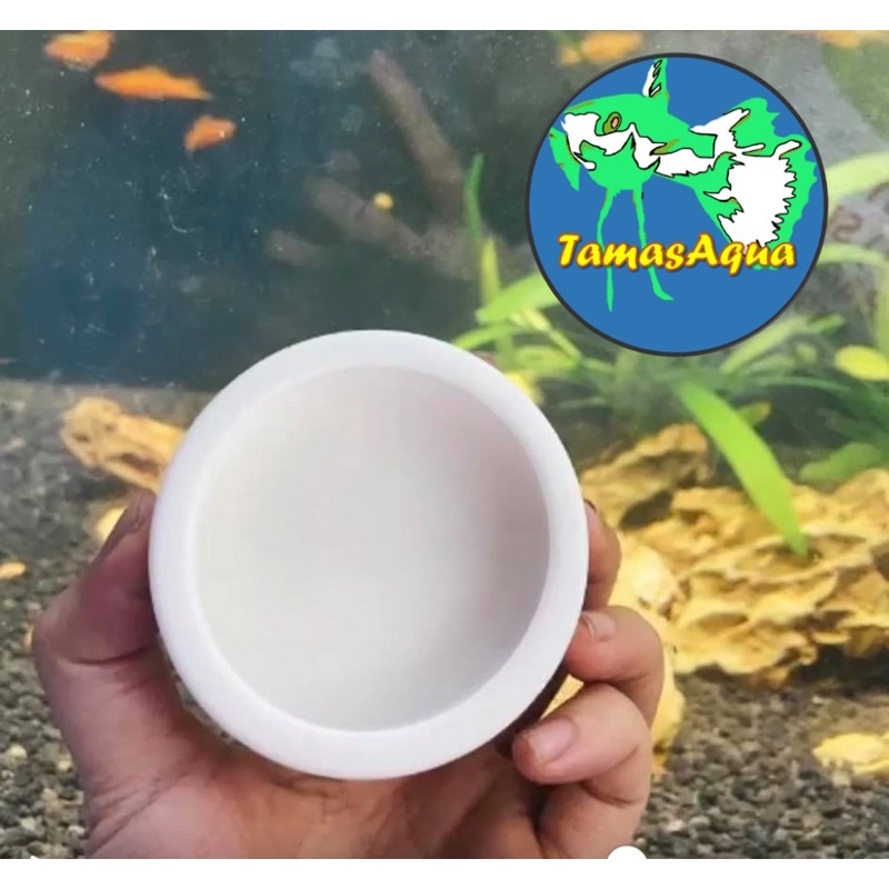 Chén ăn, bát ăn sứ trắng cho hồ cá, hồ tép và bò sát betta guppy