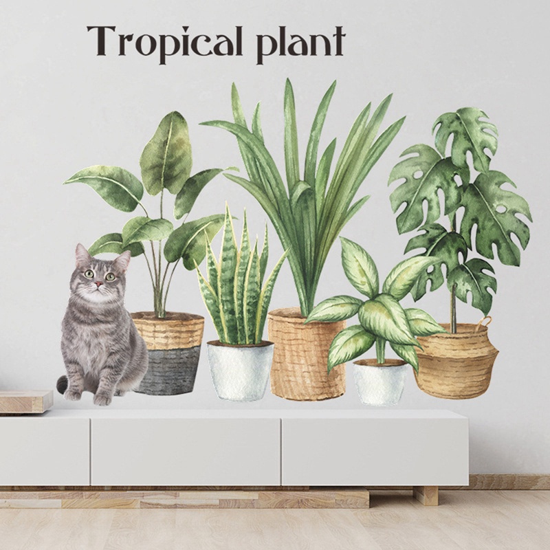 Sticker Dán Tường Họa Tiết Hình Chậu Cây Xương Rồng Khổ Lớn Để Trang Trí Phòng Khách