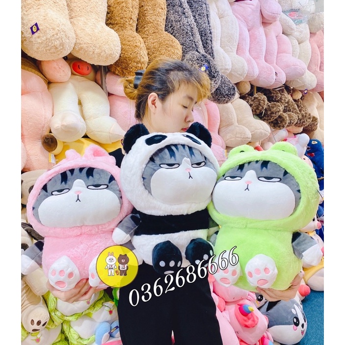 Gấu Bông Mèo Hoàng Thượng Cosplay 3 màu - Mèo Bông Cao Cấp - Xưởng Gấu Bông Việt Nam