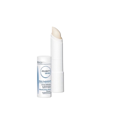 Son Dưỡng Bio Atoderm Pháp, Son Dưỡng Môi Bio Atoderm Levres Pháp 4g - Bao Bì 2020