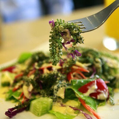 Nước sốt mè rang KEWPIE | BigBuy360 - bigbuy360.vn