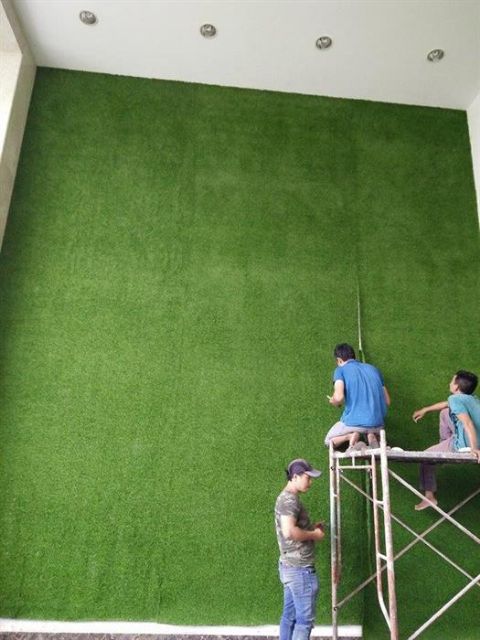 5 m vuông Thảm cỏ nhân tạo .kích thước 2m * 2,5m. Cỏ cao 2cm