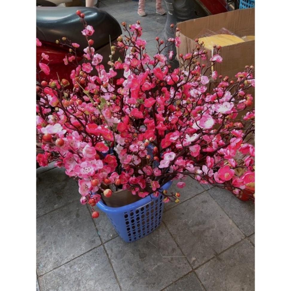 Cành đào thân cổ trang trí tết -LOẠI CAO CẤP