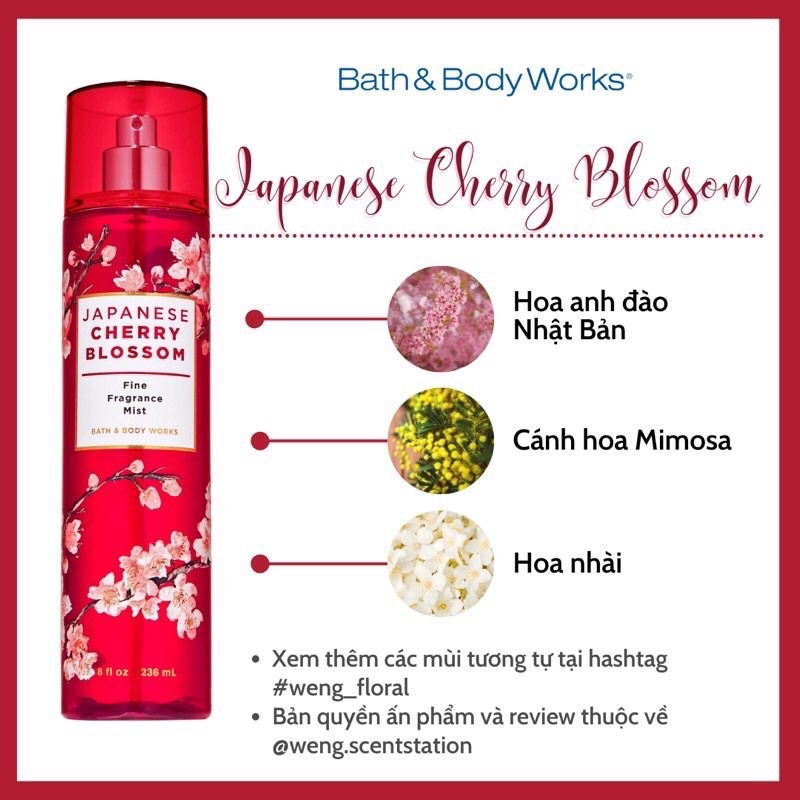 (MÙI HOT) Xịt thơm Bath &amp; Body Works mùi Japanese Cherry Blossom