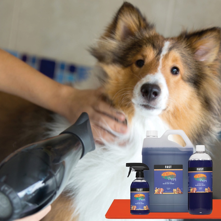 Xịt giúp sấy khô lông nhanh Fast 500ml