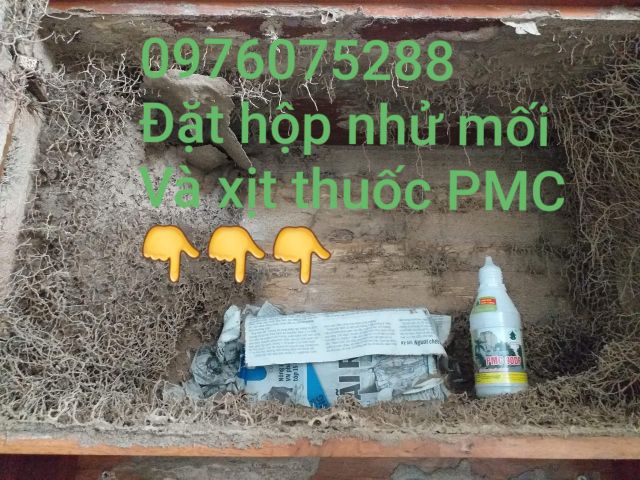 Bộ diệt mối tận gốc hiệu quả:4Hộp nhử+1chai thuốc diệt mối sinh học PMC90