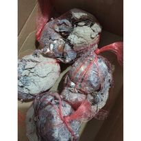 Củ hoa thủy tiên  thích hợp trồng đất hoặc nước, size đại 8 củ/ thùng