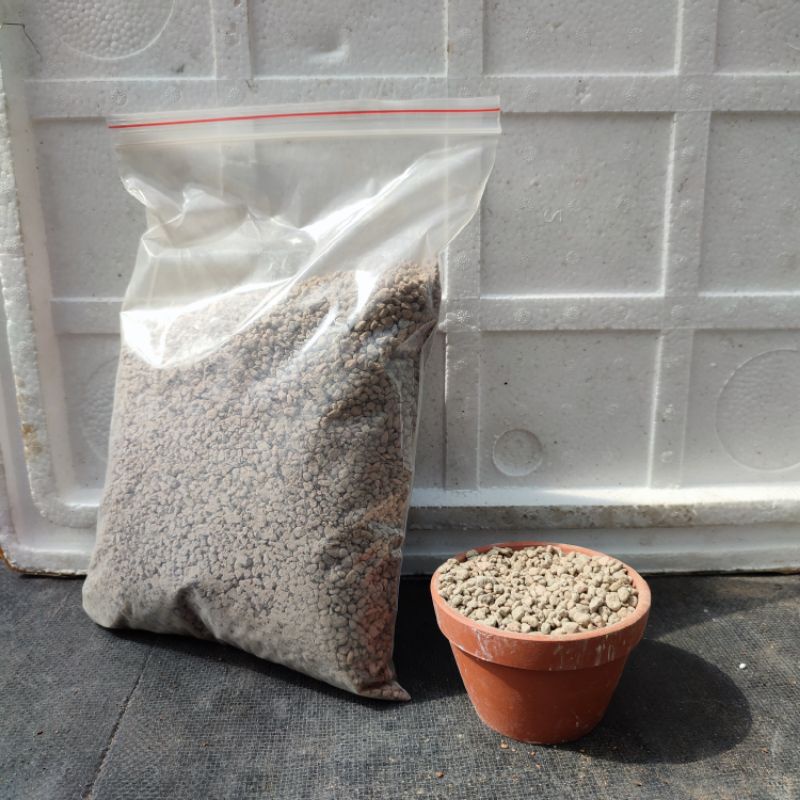 Đá pumice trồng sen đá và xương rồng 1kg, lỗi 1 đổi 1