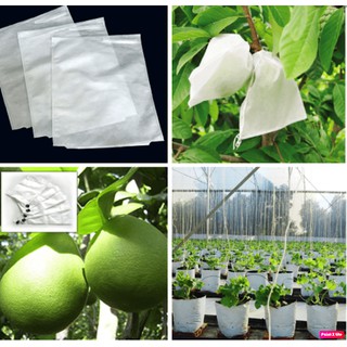 [ÁNH DƯƠNG] 1 TÚI BỌC BƯỞI DA XANH, BƯỞI DIỄN TRÁNH SÂU BỆNH KÍCH THƯỚC 30x30.2