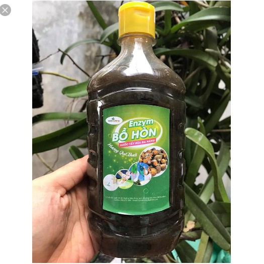 Enzym Bồ Hòn Đậm Đặc
