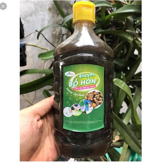 Enzym bồ hòn đậm đặc