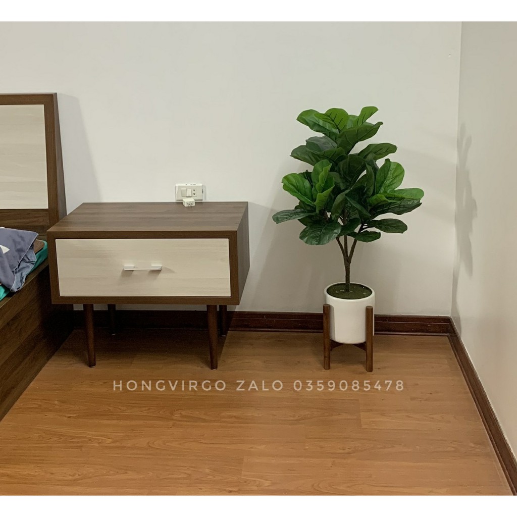 Cây Bàng Singapore Giả - Cây bàng Singapore cao 100cm 3 nhánh