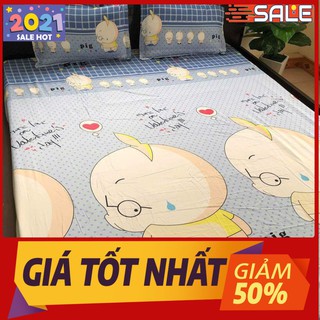 Bộ ga gối 3 món 2mx2m2